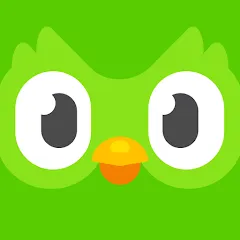 Duolingo: Language Lessons